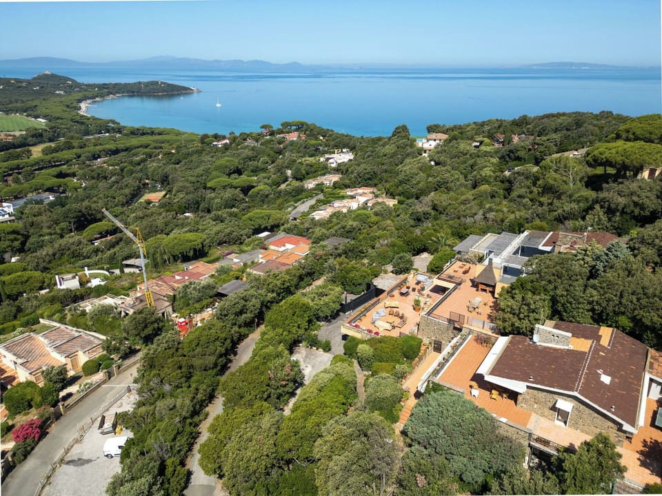 Tree, Residential Area, Bird'S-Eye View, Vegetation, Aerial Photography, Landscape, House, Home, Suburb, Estate