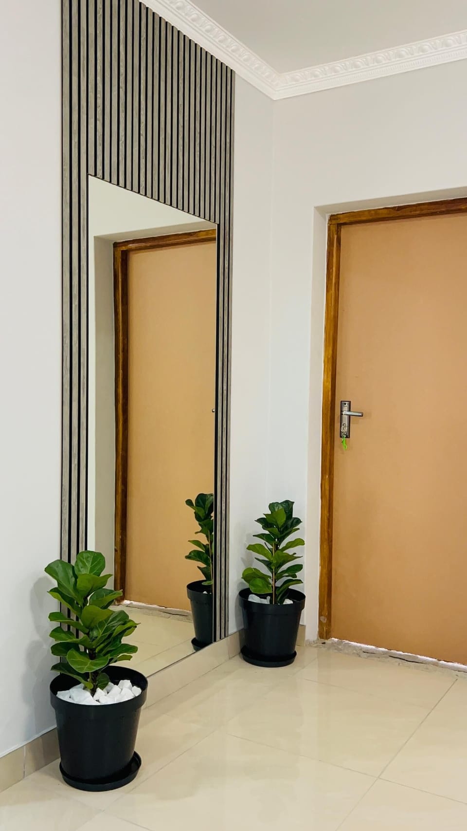 Comfort Single Room | Interior