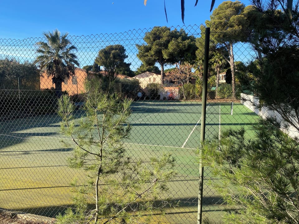 Sport court