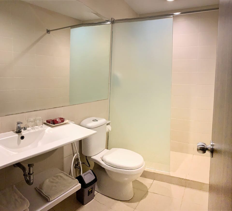 Deluxe Room | Bathroom | Shower, free toiletries, slippers, towels