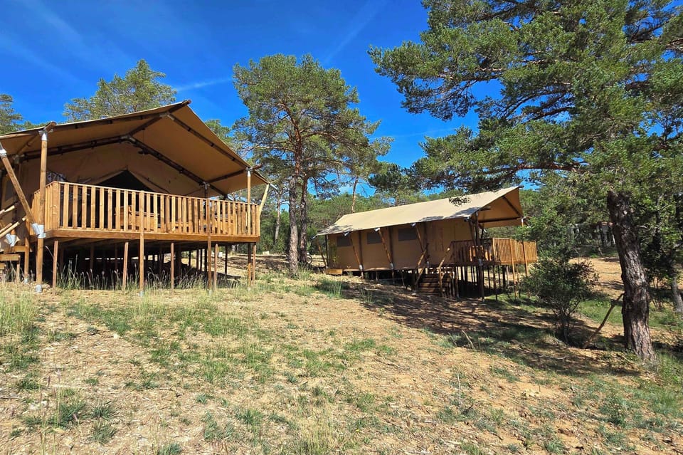 The Tente Lodge at Camping Verdon features spacious, elevated eco-lodges nestled among trees, offering a harmonious blend with nature.