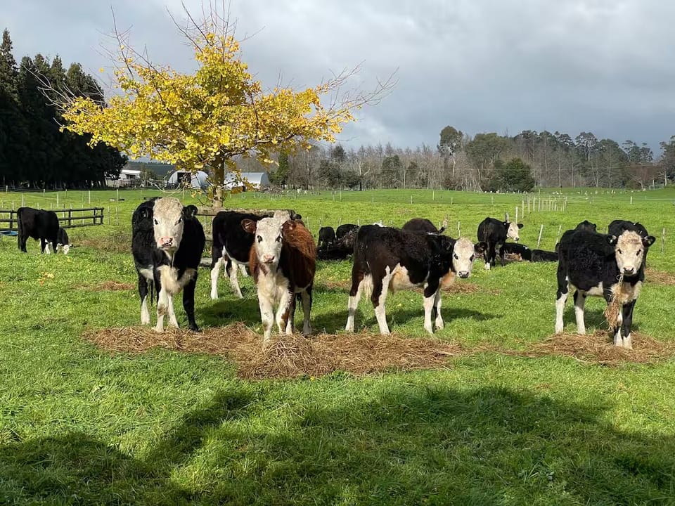 Interested neighbours