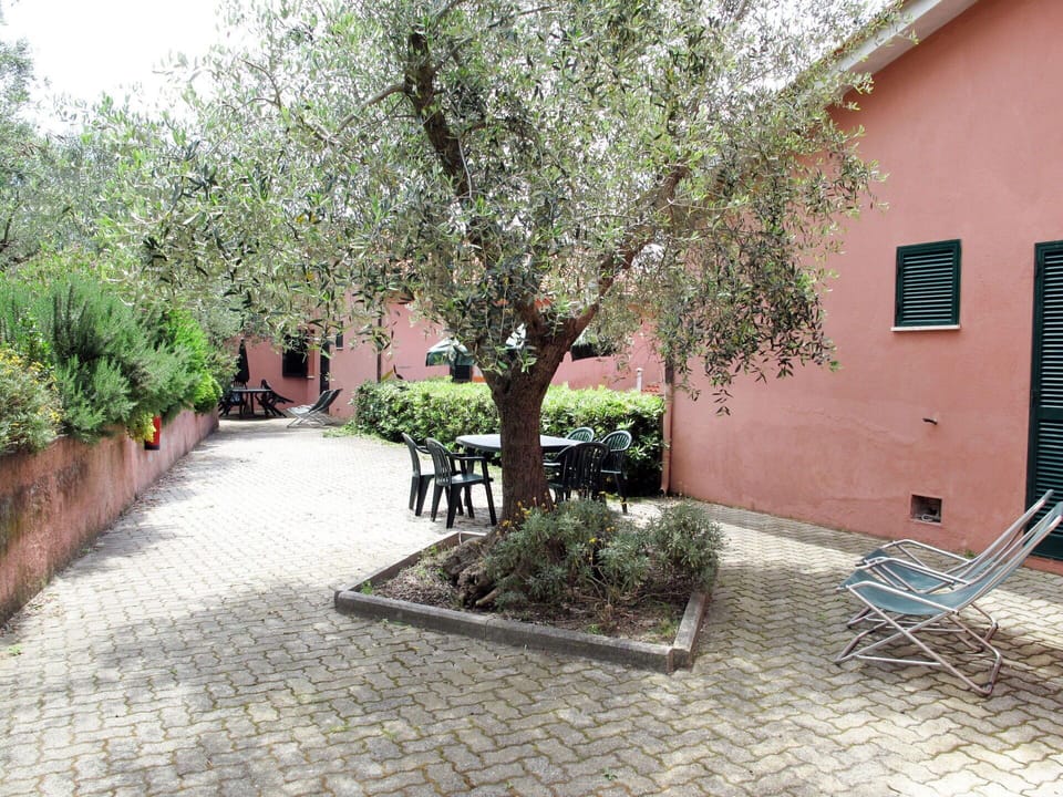 Property, Tree, Real Estate, House, Courtyard, Architecture, Building, Woody Plant, Plant, Home