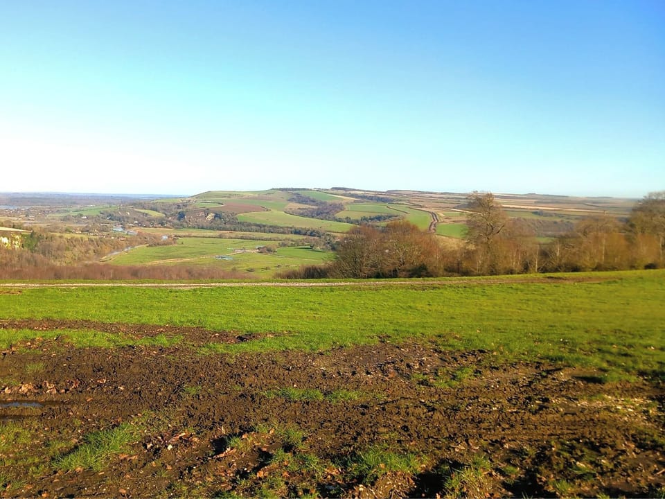 Stunning walks in Arundel Park | Treetops, Bognor Regis, near Chichester
