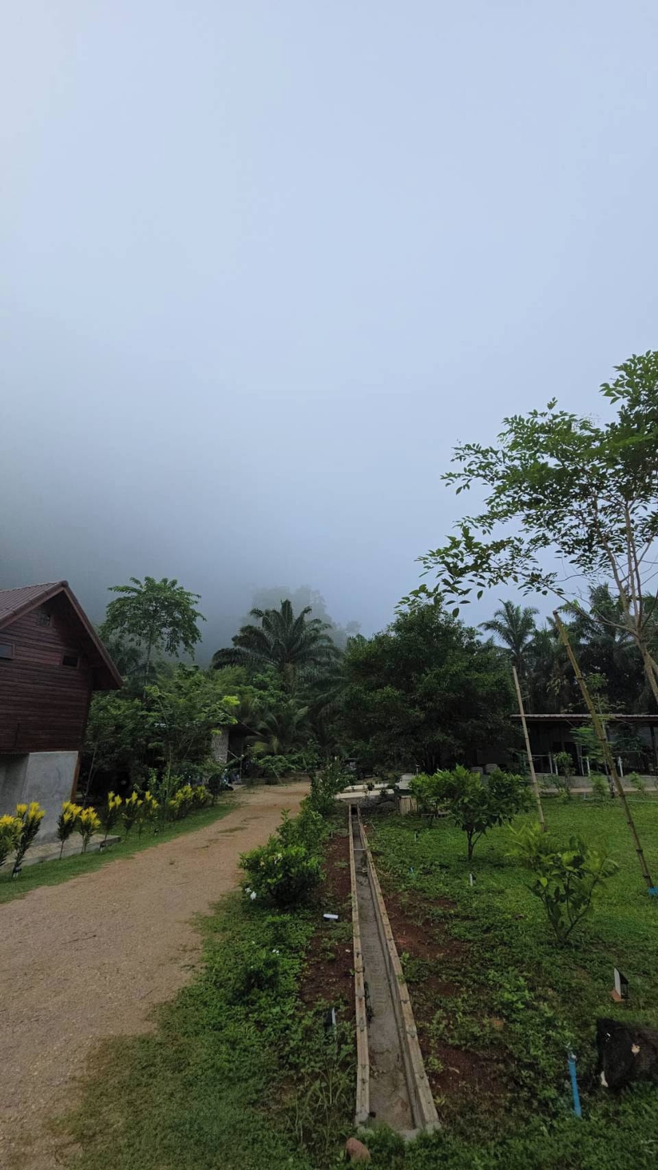 House, 1 Bedroom, Accessible, Smoking | Garden