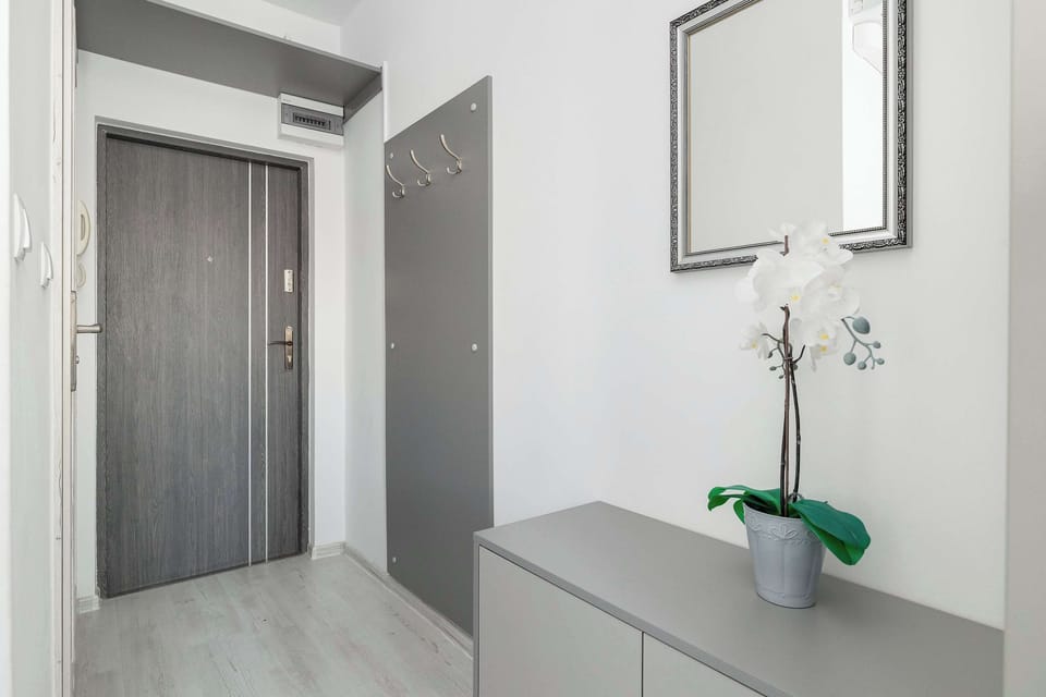 An entryway with a door, storage unit, and decorative plant. Light colors make the hallway feel welcoming. The layout is simple and practical.