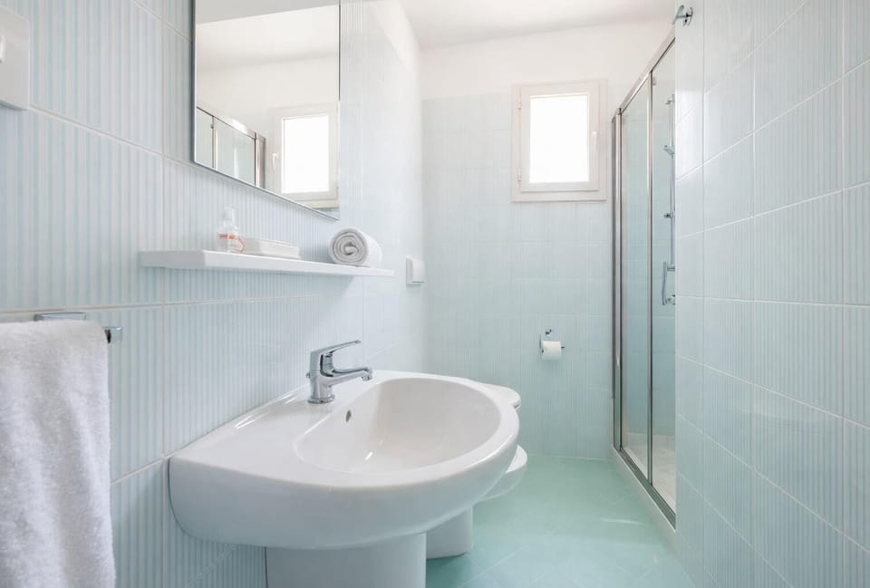 Hair dryer, towels, toilet paper