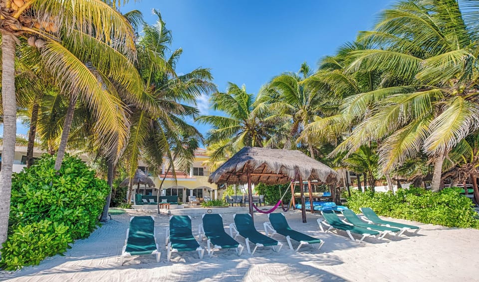 Beachfront Area with Sun Loungers
