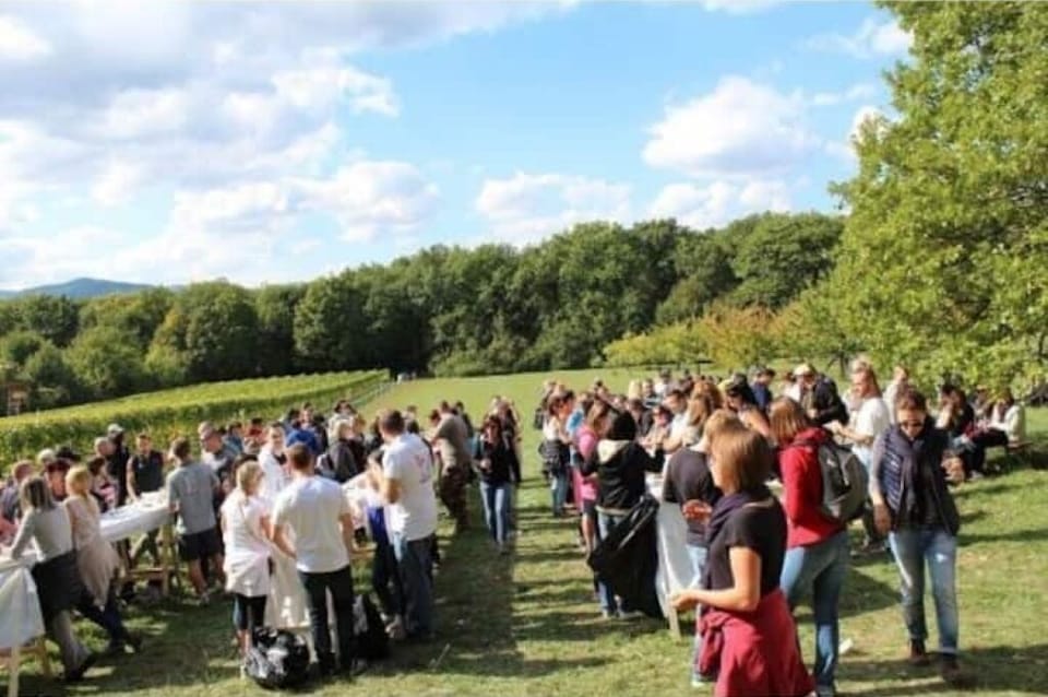 Outdoor banquet area