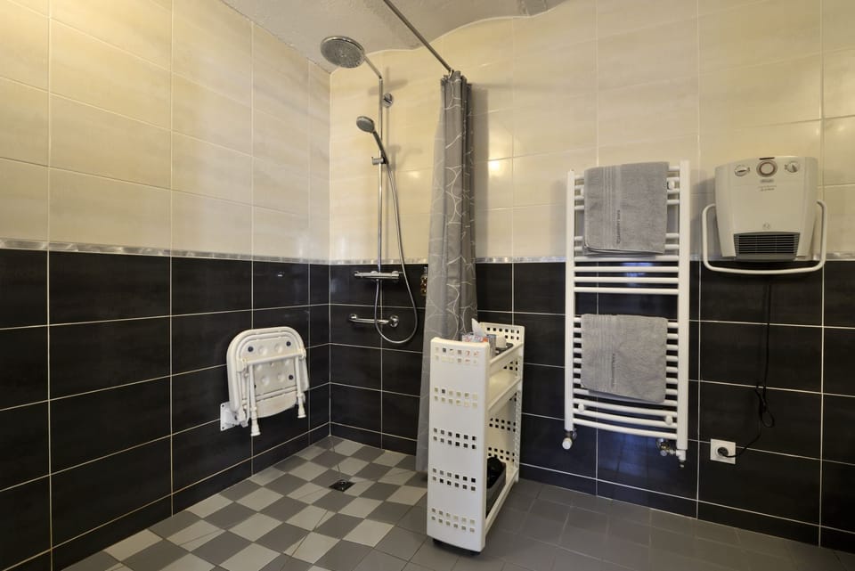 Classic Double Room, 1 Queen Bed, Private Bathroom | Bathroom shower