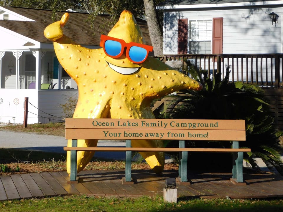Quirky lakeside bench perfect for fun family moments
