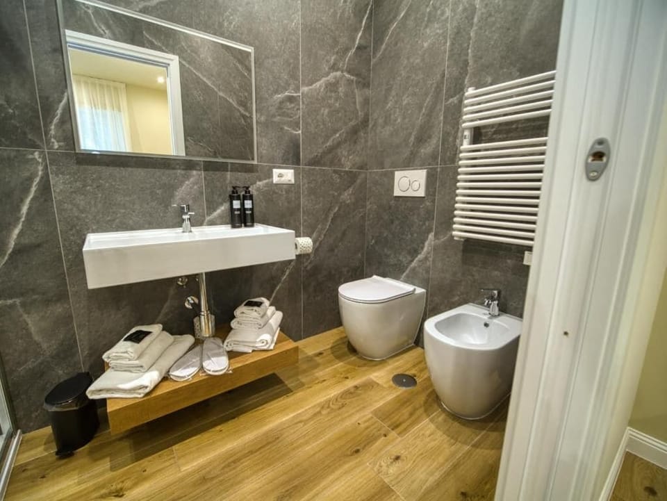 Hair dryer, bathrobes, bidet, towels