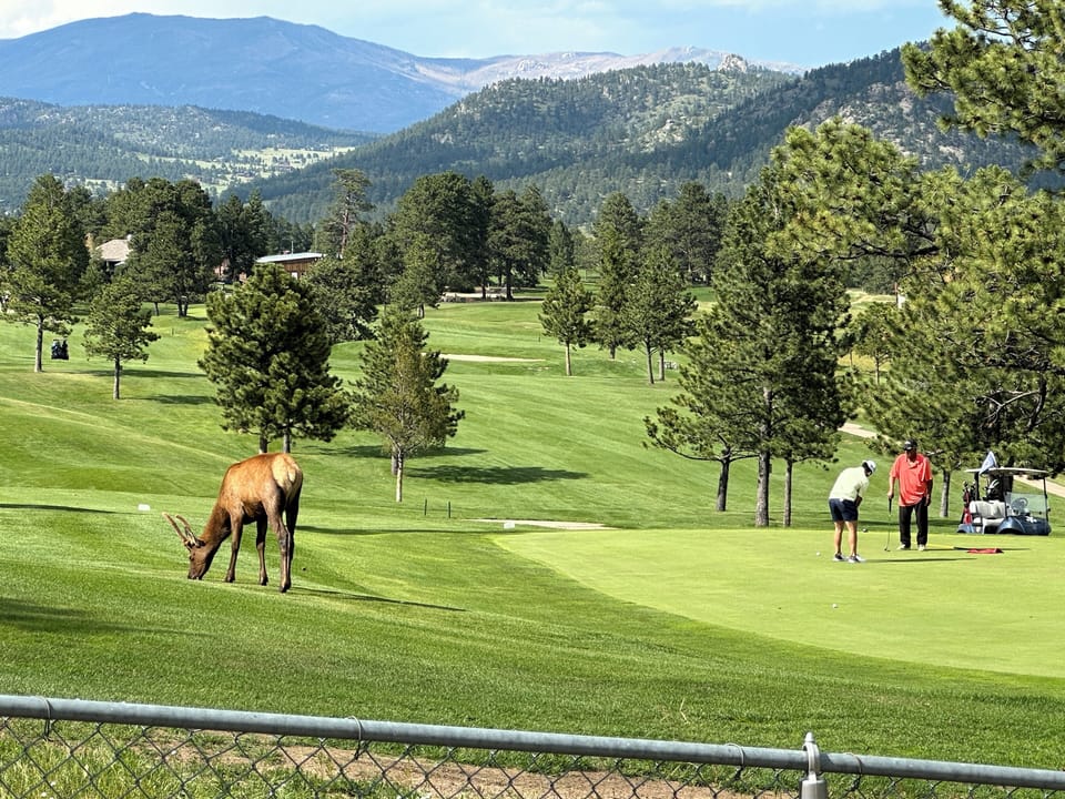 View from Pines and Putts back deck