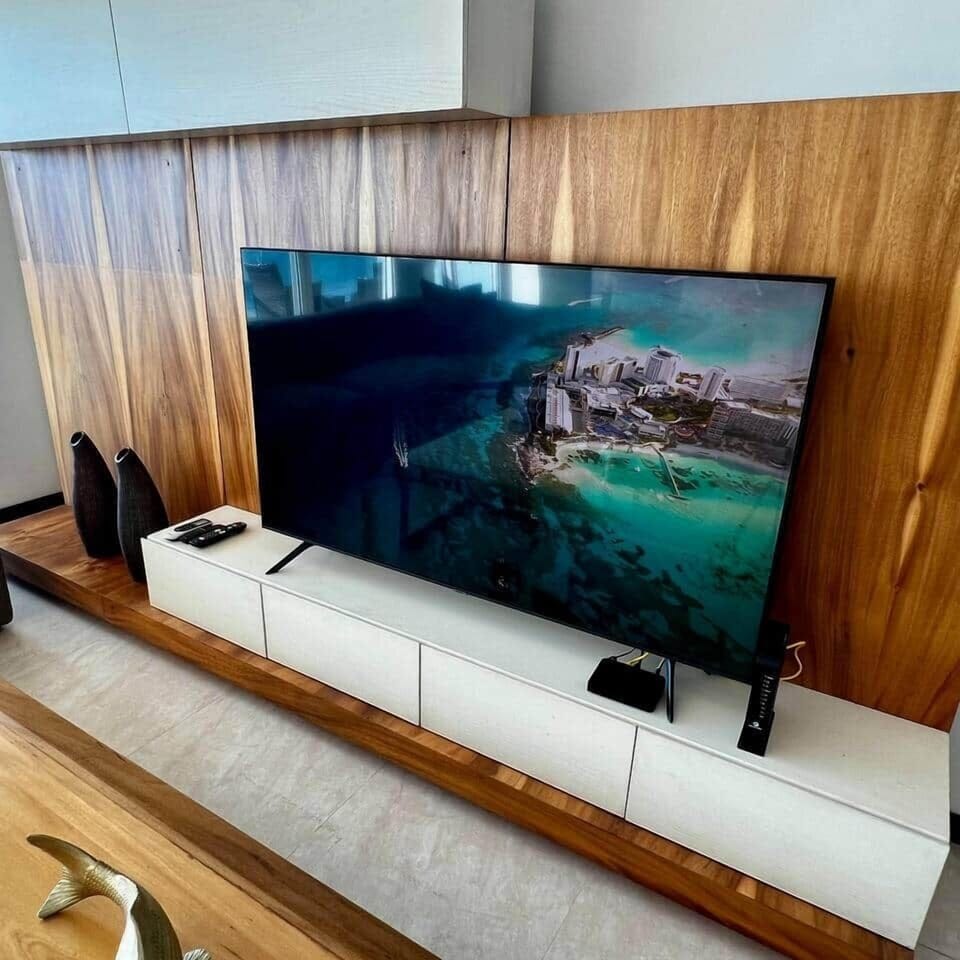 Television