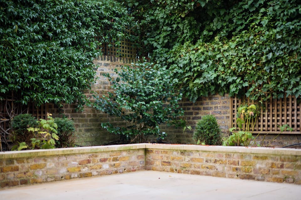 House | Property grounds