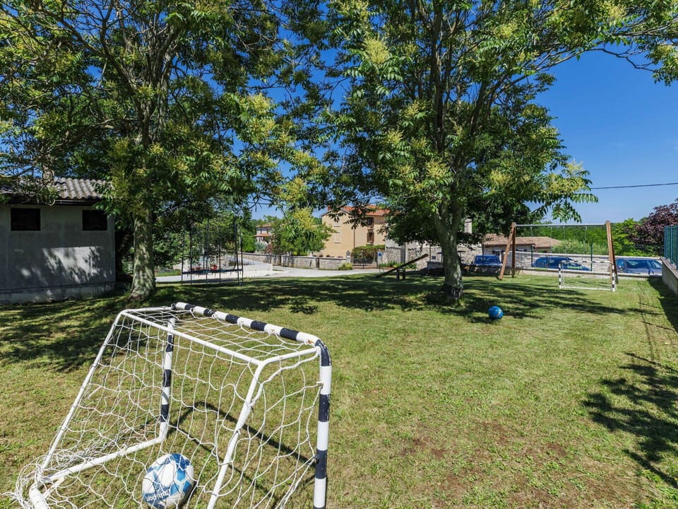 Tree, Public Space, Net, Recreation, Lawn, Sports, Park