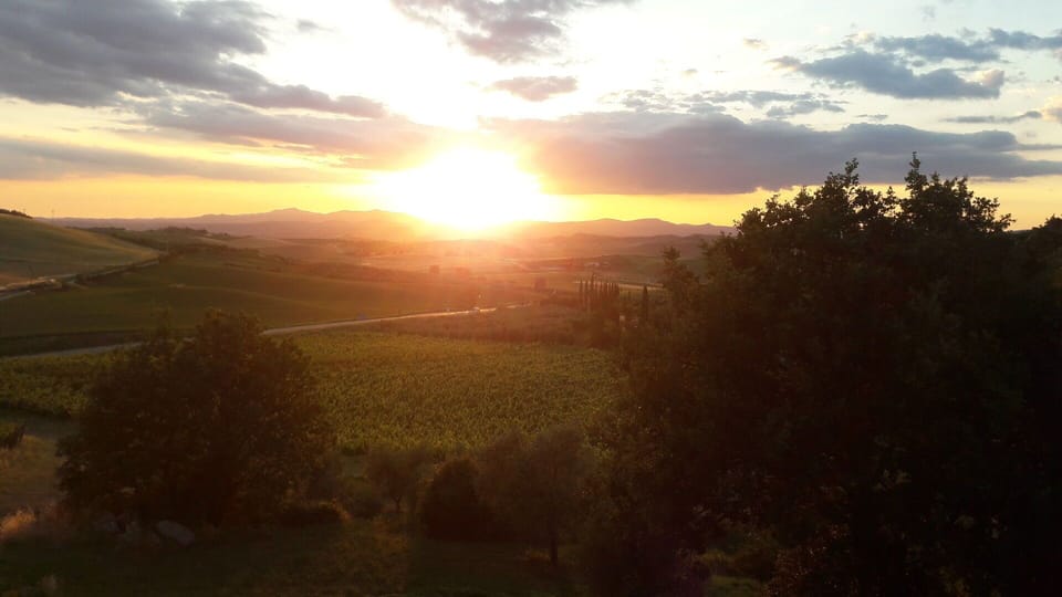 Scenic View