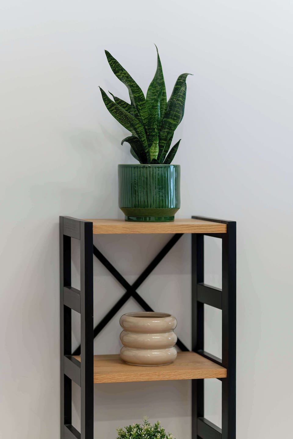 A shelf with decorations and a green plant.
