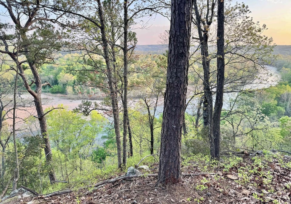 From the bluff
