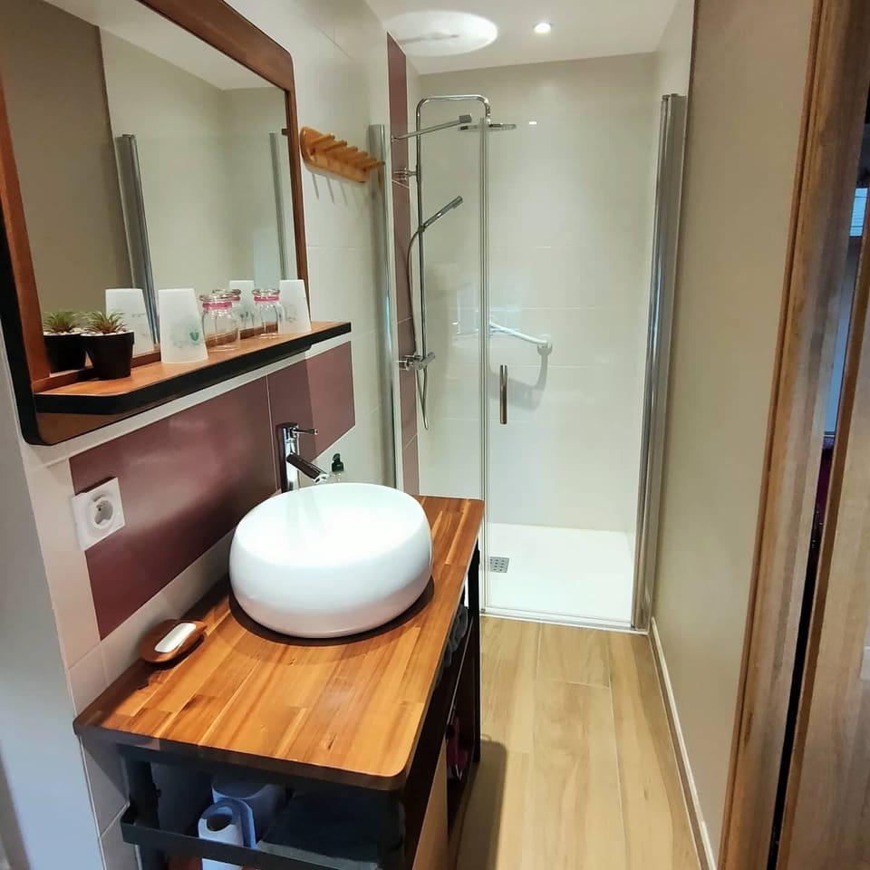 Classic Double Room, Garden View | Bathroom | Hair dryer, towels, soap, toilet paper