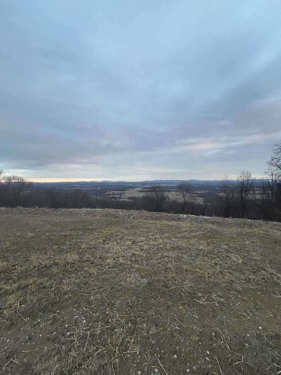 View from the Back Porch