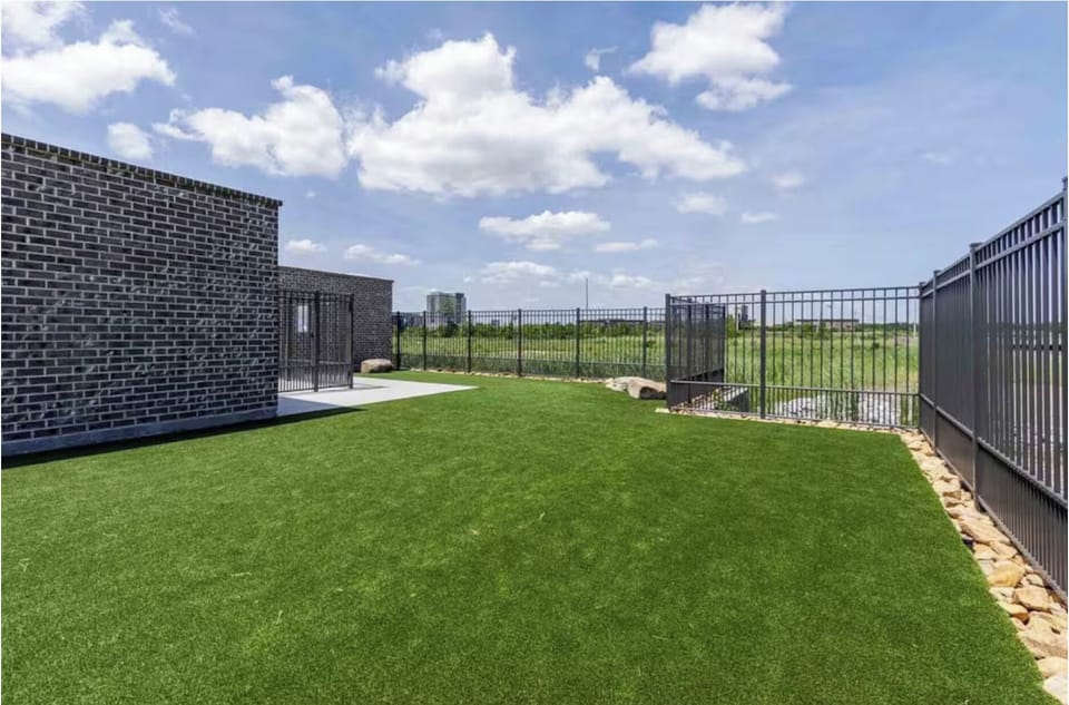 Area for dogs to play and socialize.