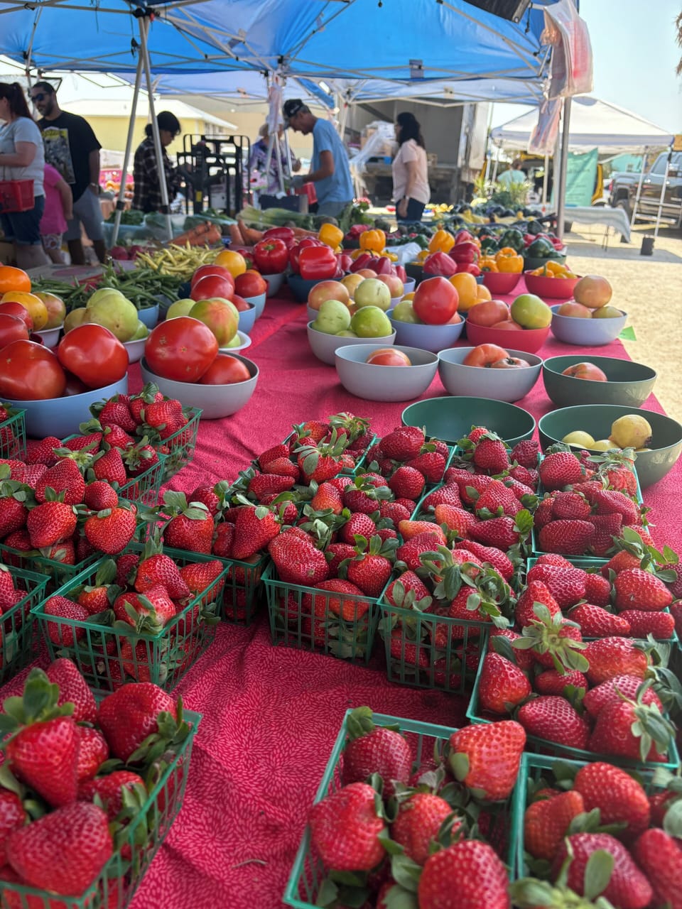 Flagler Beach Farmers market