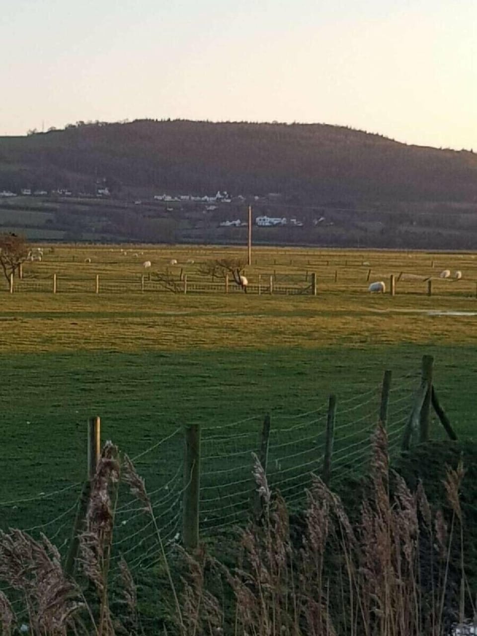 Ty Mawr Holiday Park - Holiday Accommodation 9766 Cottage in Towyn