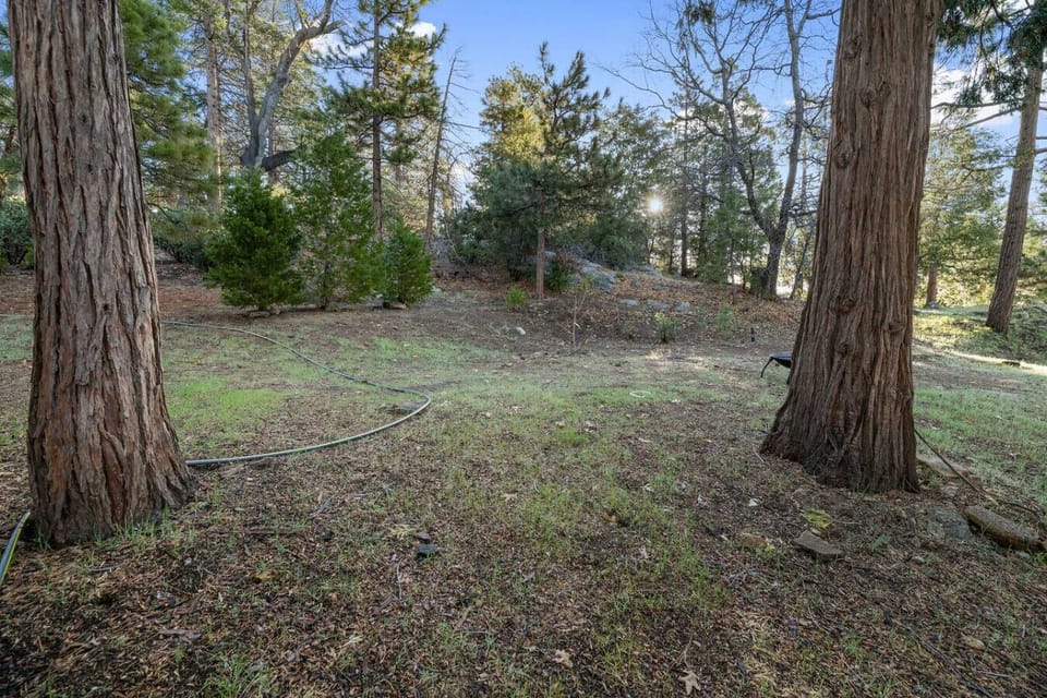 Explore the outdoors. Private, wooded backyard space right outside your door.