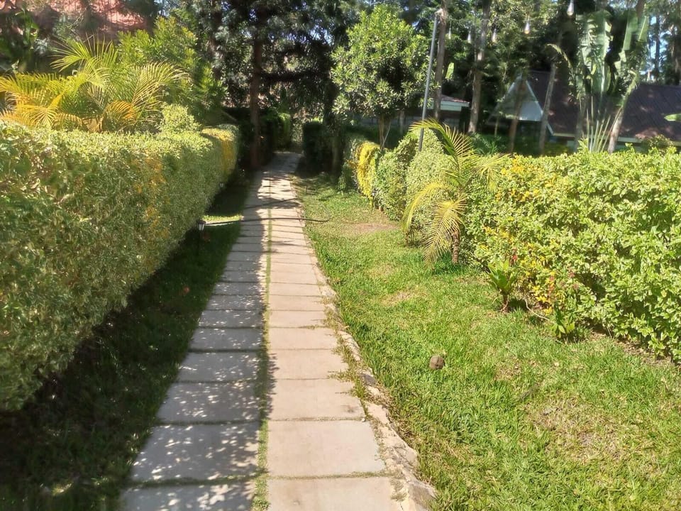 Comfort Studio, Garden View | Property grounds