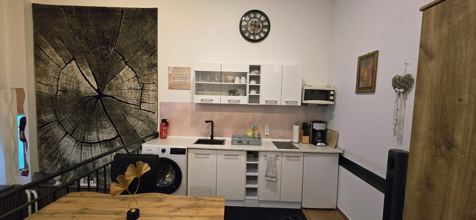 Basic Apartment, Non Smoking | Private kitchen | Electric kettle, toaster, toaster oven, cleaning supplies