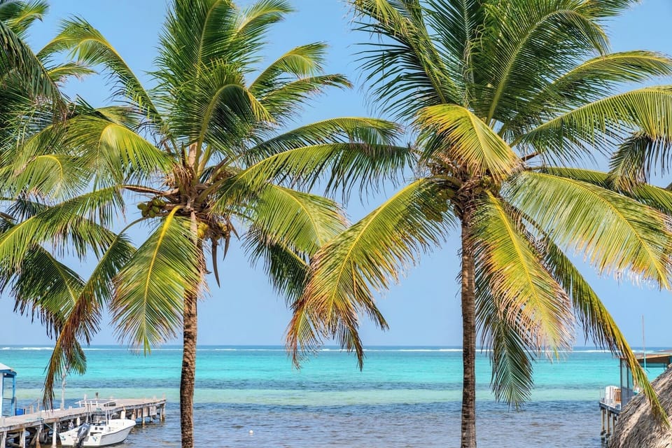 Tropical beachfront with swaying palms and turquoise waters, framing the property's access to pristine Caribbean shores.