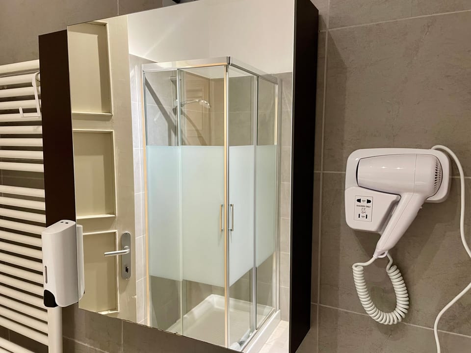 Shower, hair dryer, bidet, towels