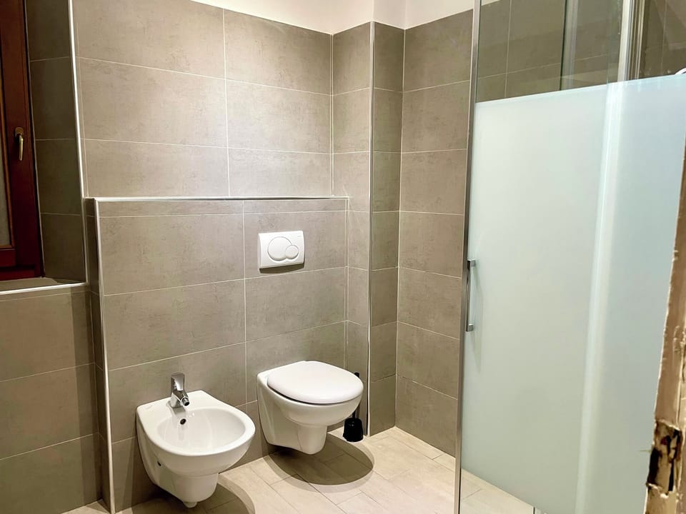 Shower, hair dryer, bidet, towels