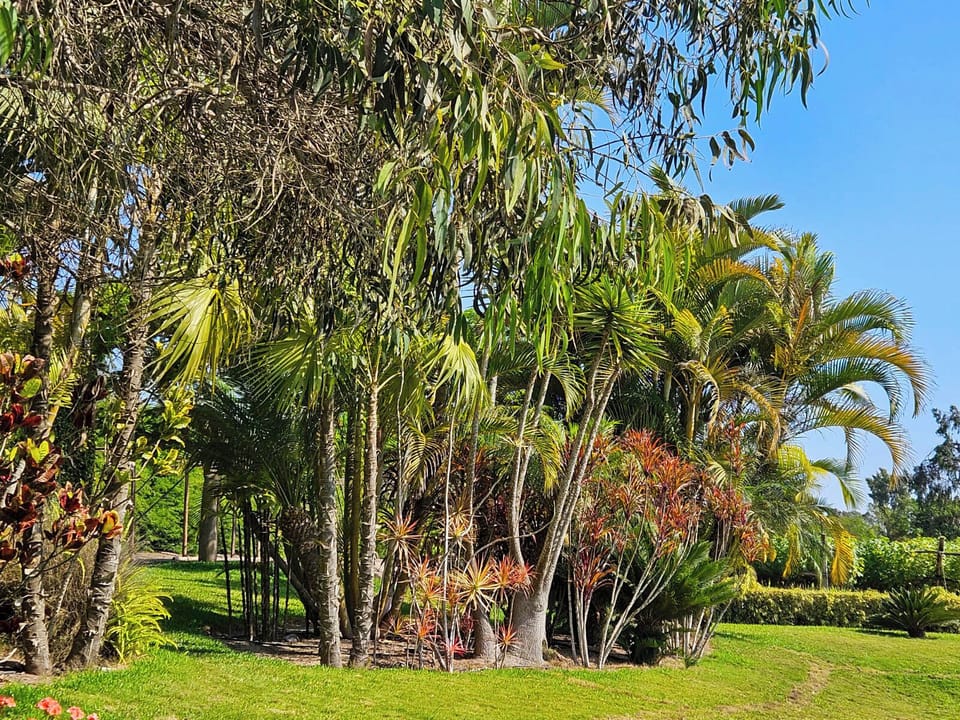 House, Pool View | Property grounds