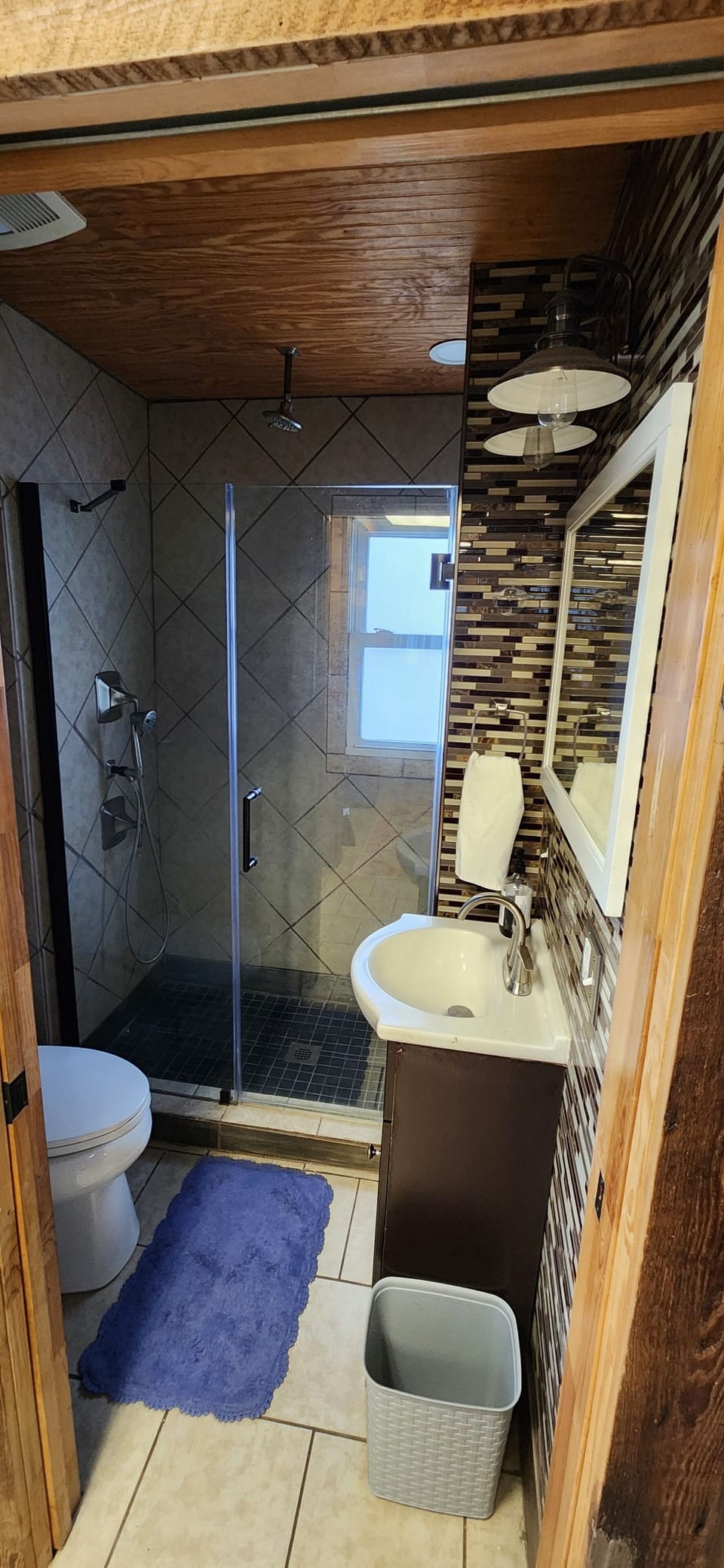 shower, hand held showerhead, indoor, bathroom shower, toilet