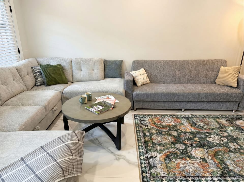 Couches, both convert into bed
