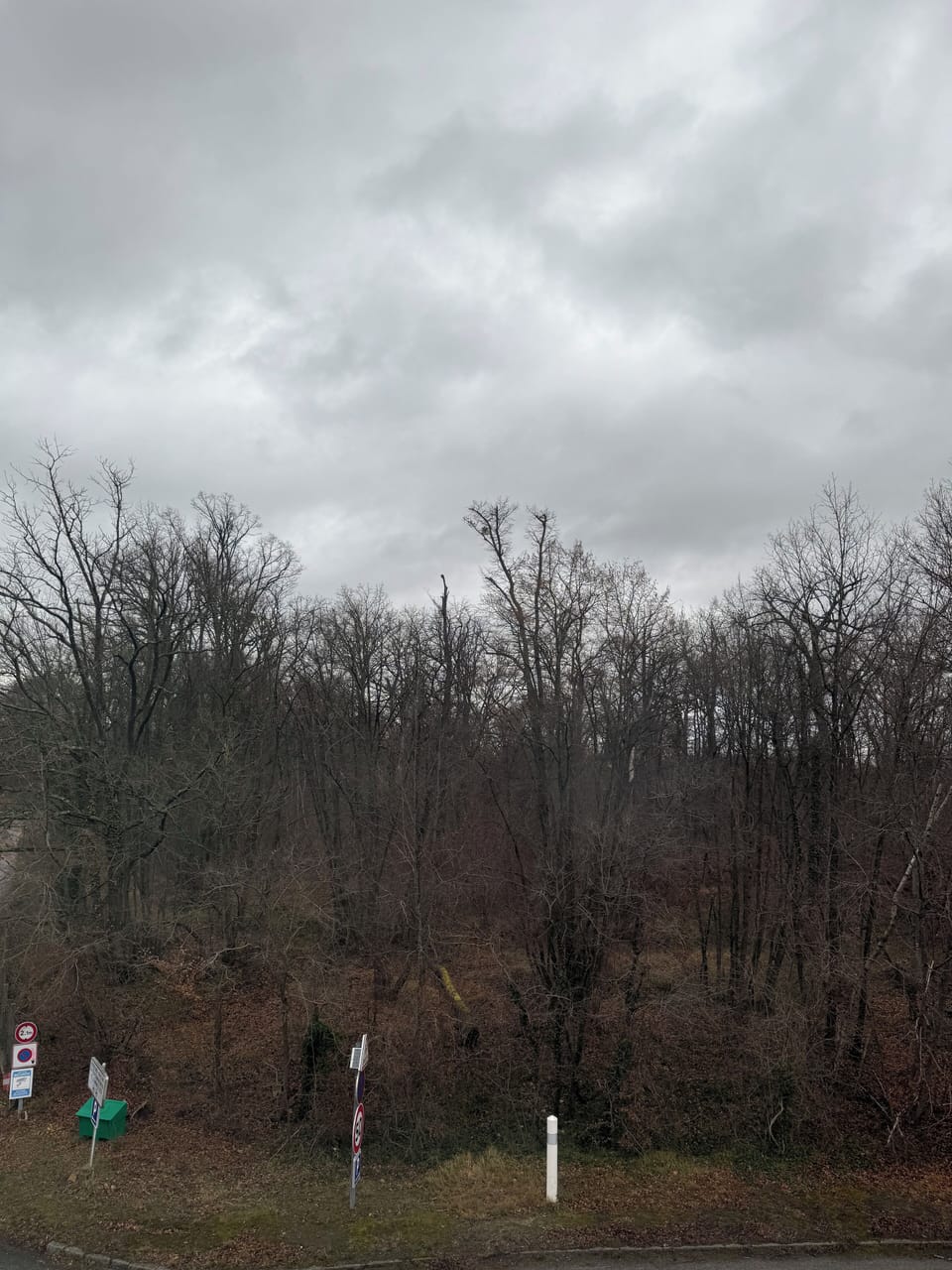 Miscellaneous