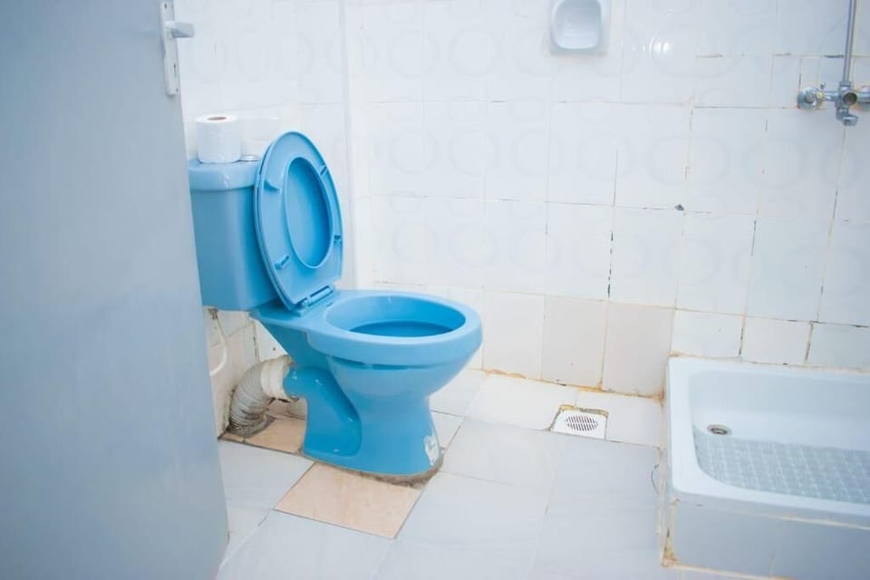 Deluxe Double Room | Bathroom | Shower, free toiletries, slippers, towels