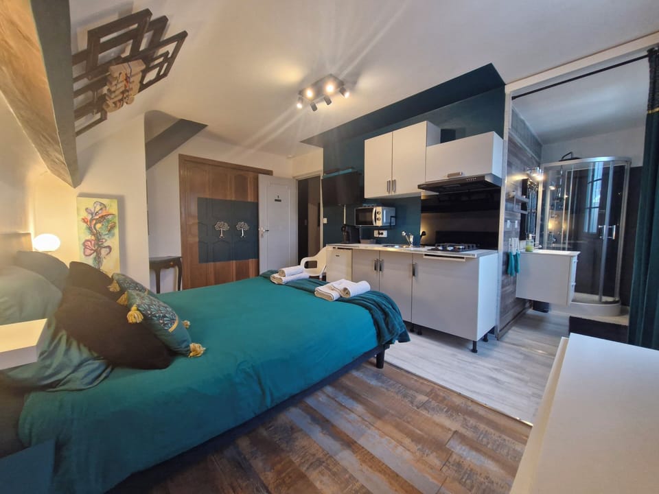 Comfort Double Room, Garden View (Studio Les Nuits De Gesnes) | Desk, laptop workspace, soundproofing, WiFi (free)