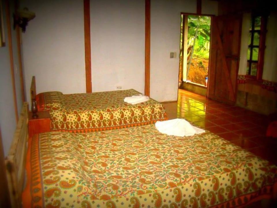 Premium bedding, minibar, desk, WiFi (free)