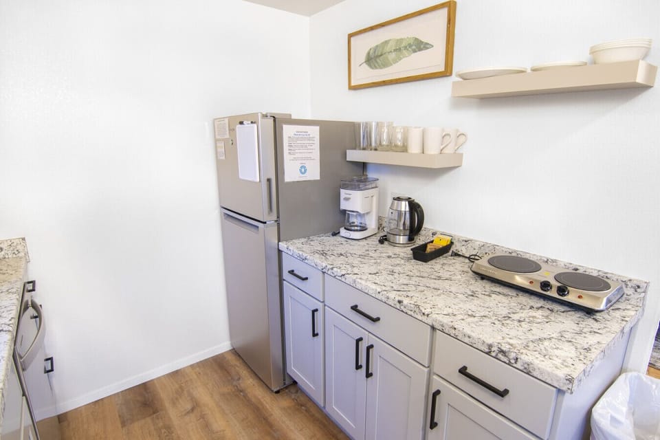 Fridge and double burner cook plate