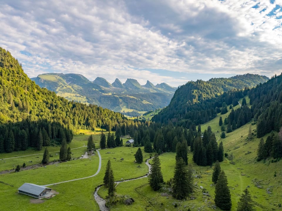 Aerial photography