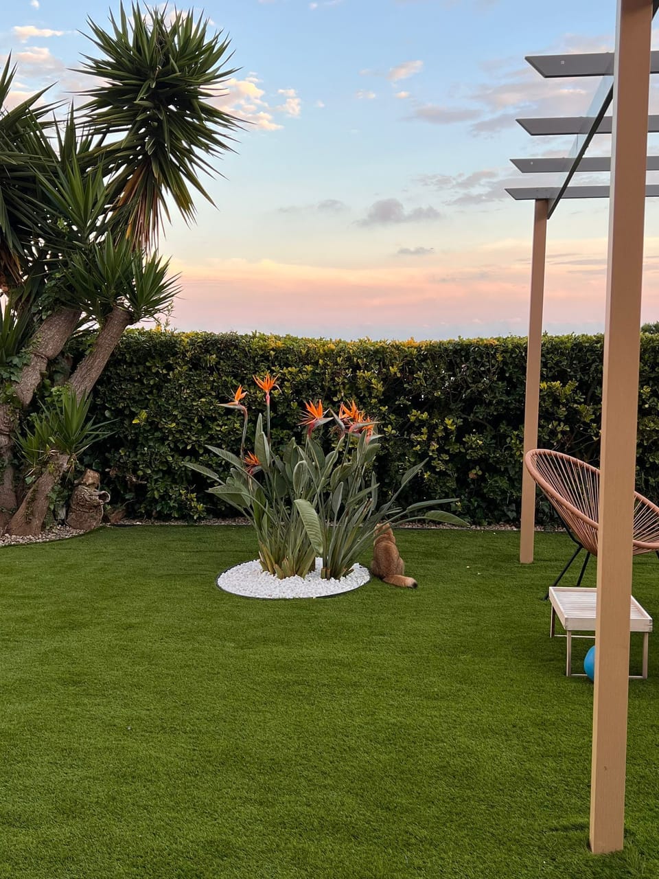 House´s garden.