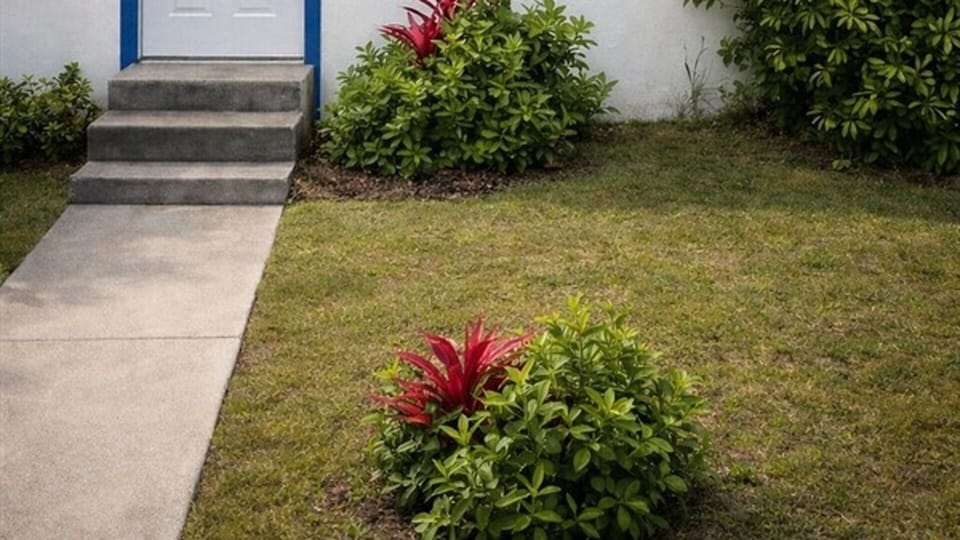 Front entrance with walkway, lawn, and landscaping