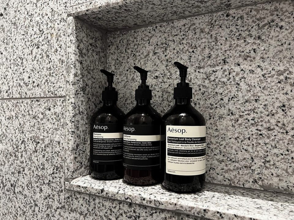 Hair dryer, towels, soap, shampoo