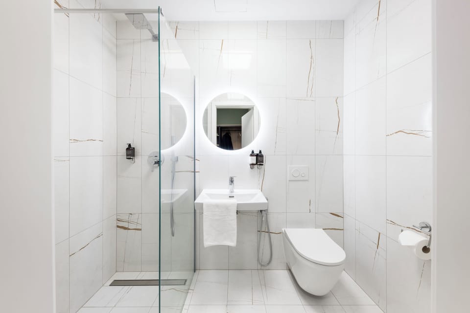 Superior double room with kitchenette | Bathroom | Shower, hair dryer, towels, soap
