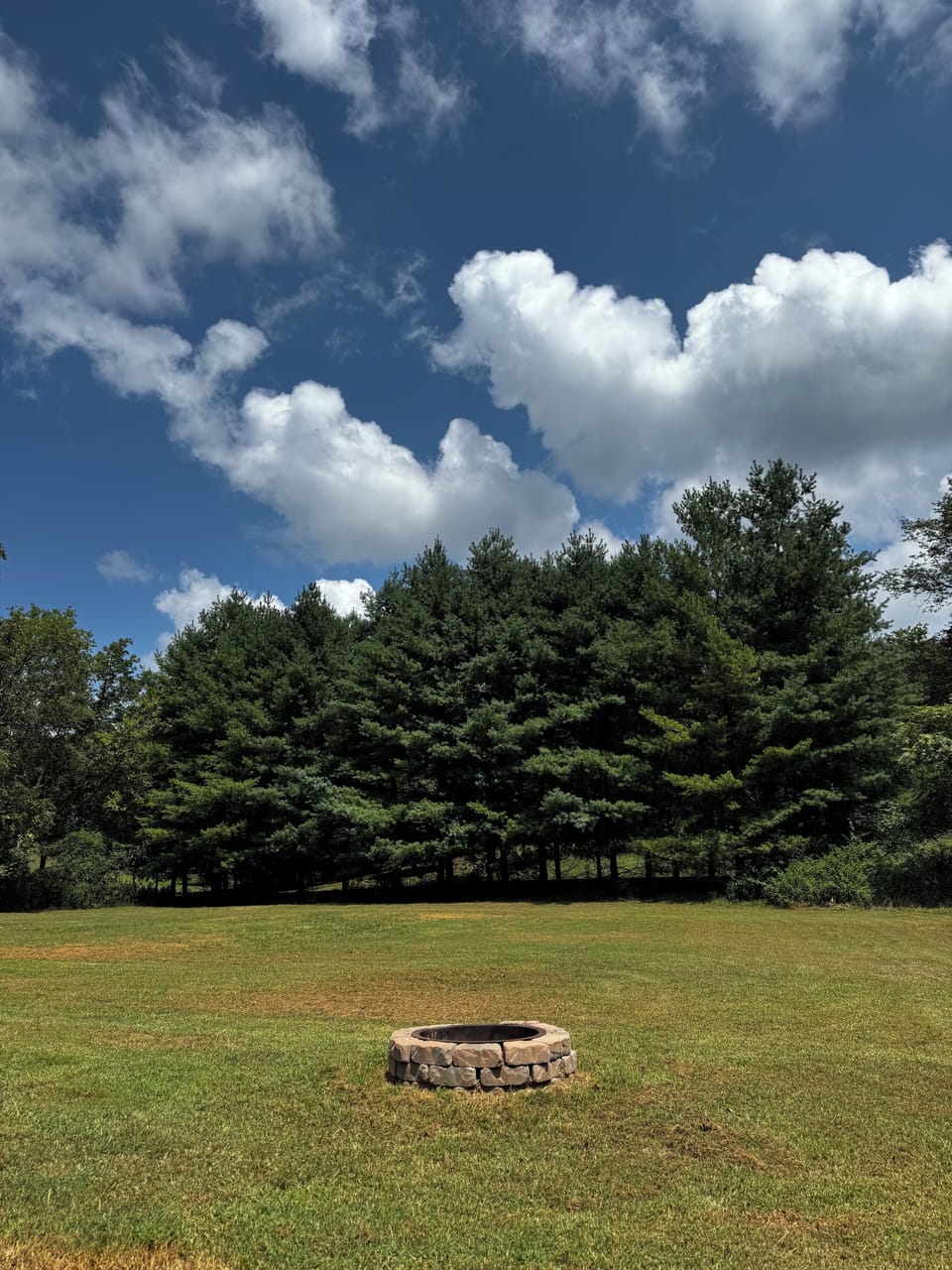 Large flat yard with trees
