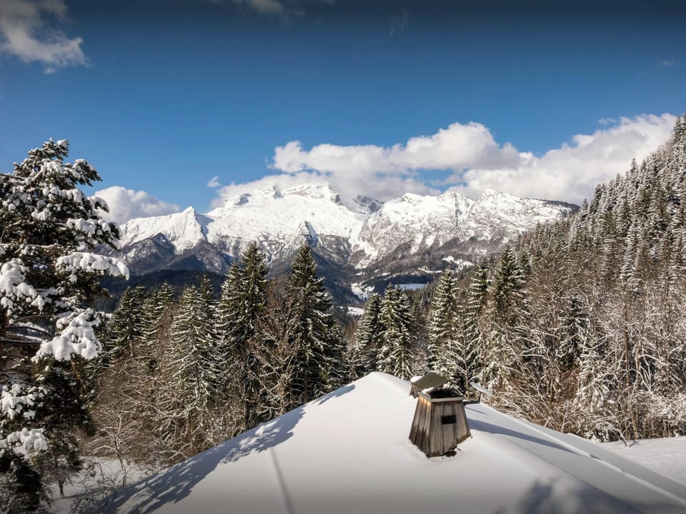 Winter view