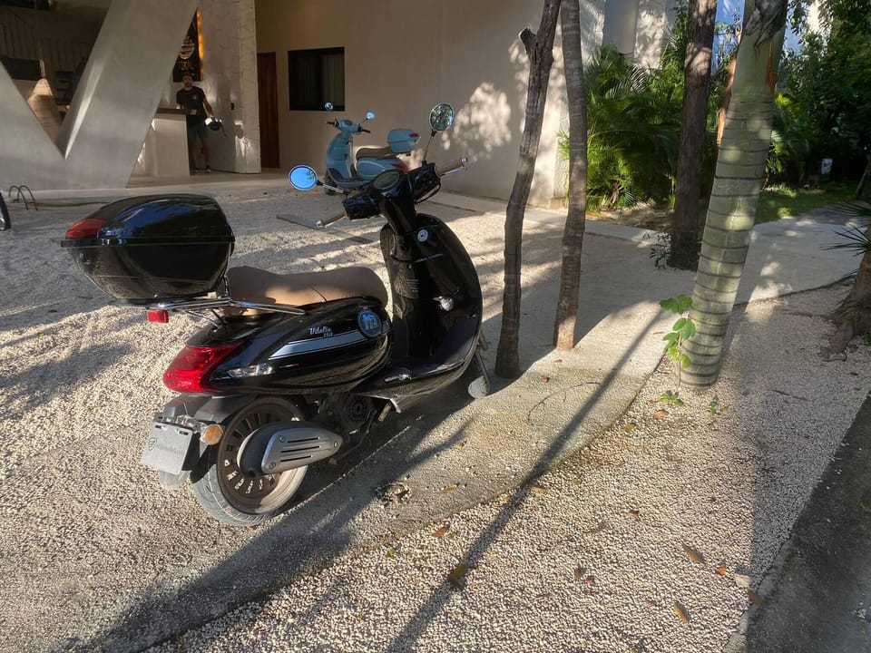 Apartment, 2 Bedrooms | Property grounds